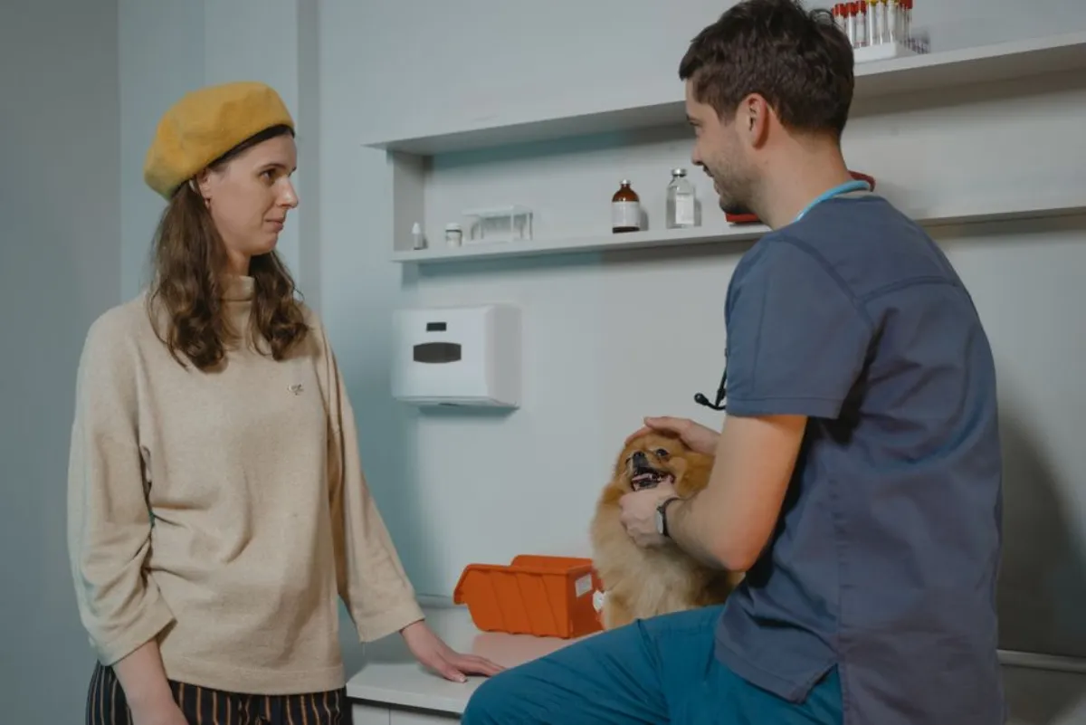 dog vet